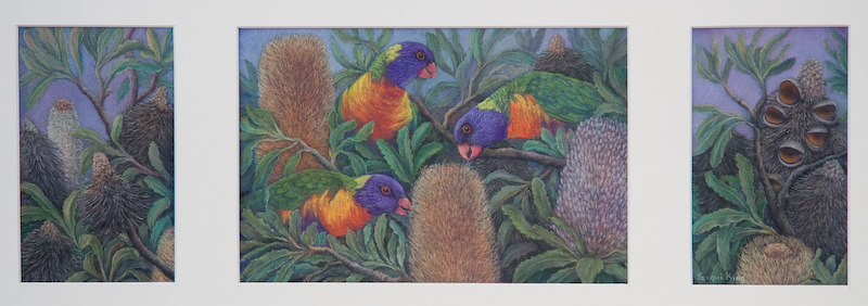 Banksia panorama.jpg